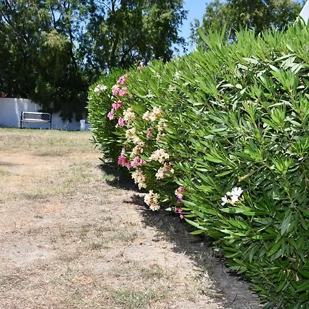 Apartman 1-bedroom Olympia At Lambi