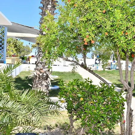 1-bedroom Olympia At Lambi Daire *