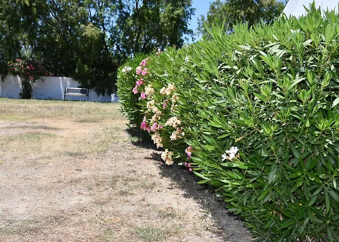 아파트 1-bedroom Olympia At Lambi