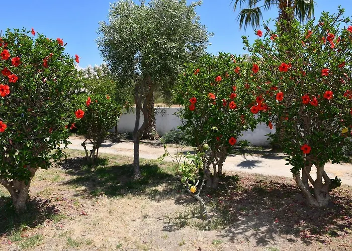 Appartement 1-bedroom Olympia At Lambi *